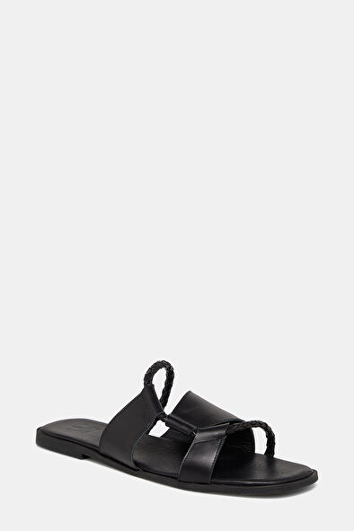 WCollection3 WCollection3