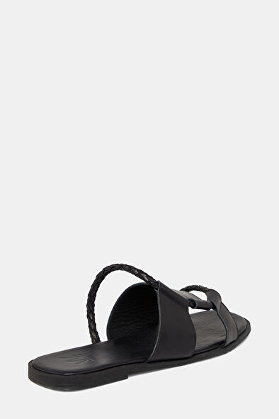 WCollection4 WCollection4