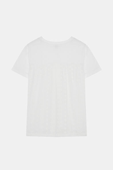 WCollection7 WCollection7