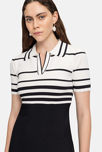 WCollection4 WCollection4