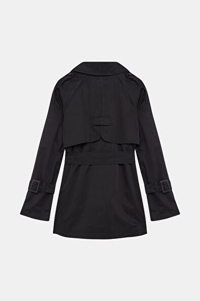 WCollection7 WCollection7