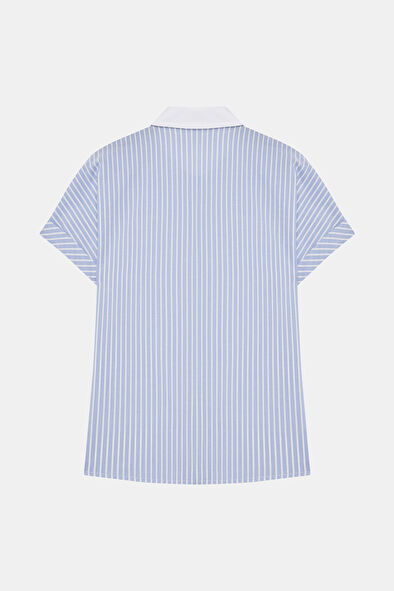 WCollection7