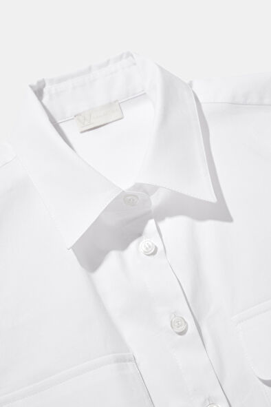 WCollection8