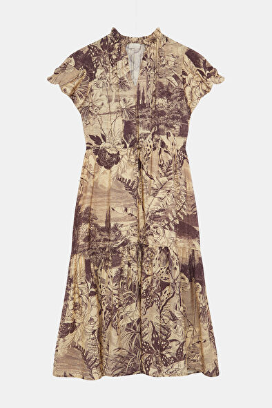 WCollection7 WCollection7