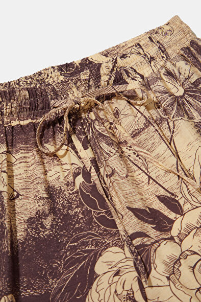 WCollection6 WCollection6