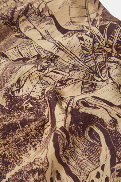 WCollection7 WCollection7