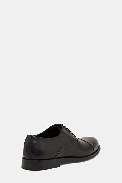 WCollection3 WCollection3