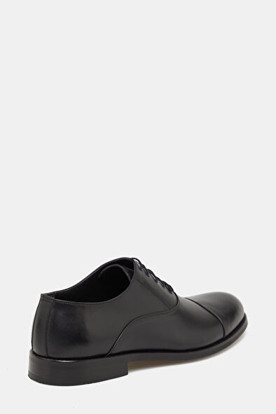 WCollection3 WCollection3