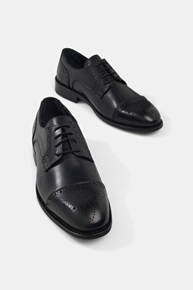 WCollection5 WCollection5