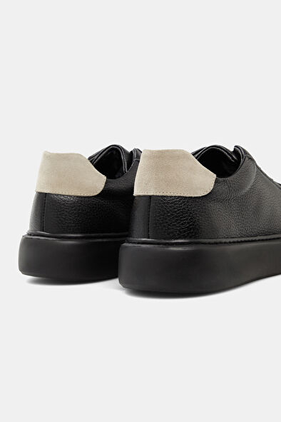 WCollection5 WCollection5