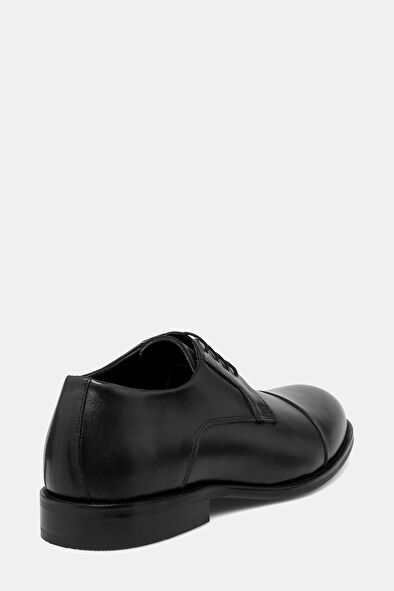 WCollection4 WCollection4