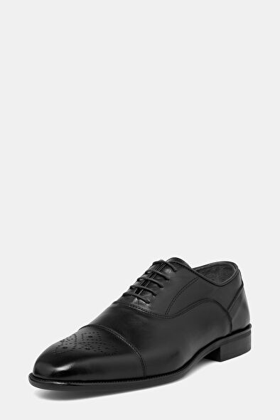 WCollection3 WCollection3