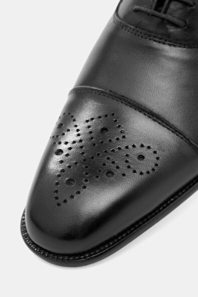 WCollection6 WCollection6