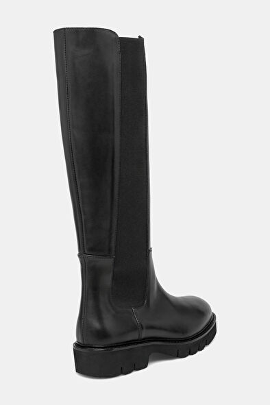 WCollection4 WCollection4