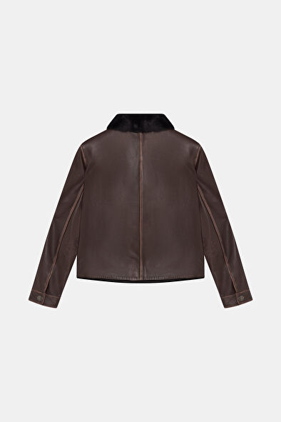 WCollection5 WCollection5