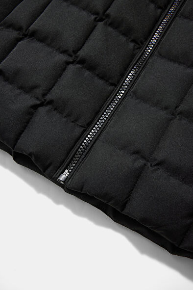 WCollection8 WCollection8