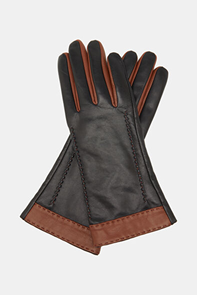 WCollection5 WCollection5