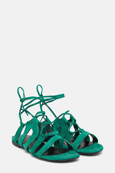 WCollection3 WCollection3