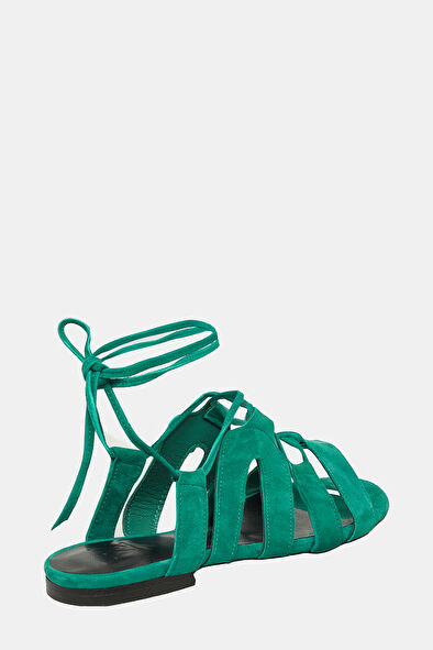 WCollection4 WCollection4