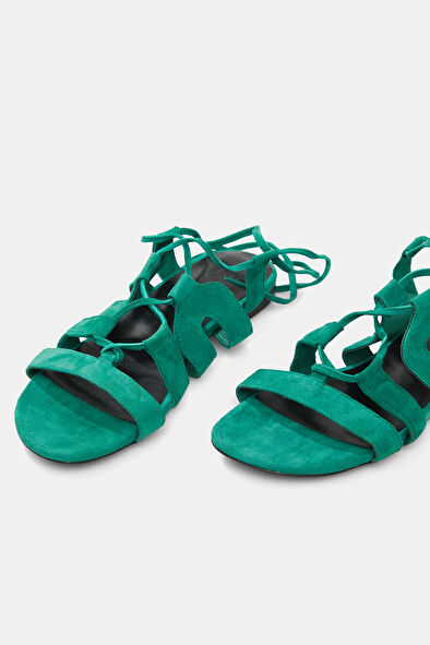 WCollection5 WCollection5