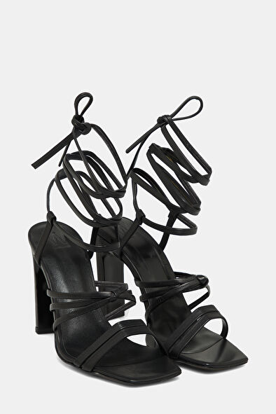 WCollection3 WCollection3