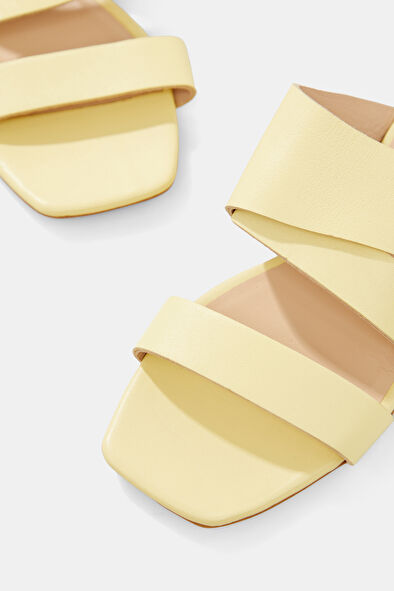 WCollection4 WCollection4