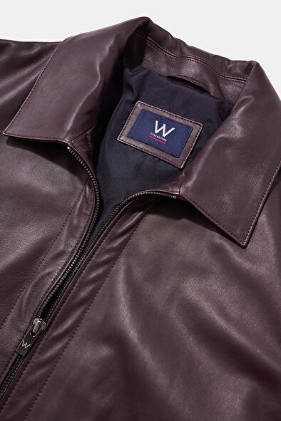 WCollection8 WCollection8