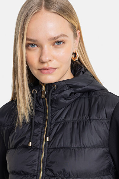 WCollection3 WCollection3