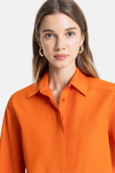 WCollection3 WCollection3