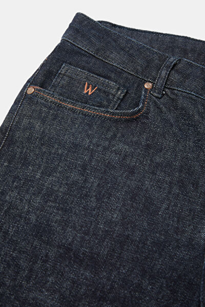 REGULAR JEAN PANTOLON, LACİVERT, 38 3