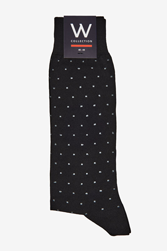 WCollection1 WCollection1