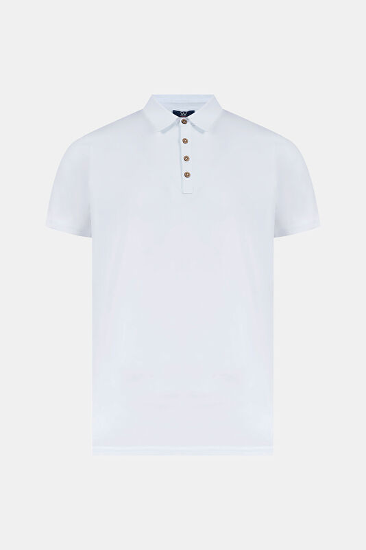 WCollection1