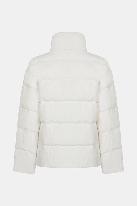 WCollection2 WCollection2