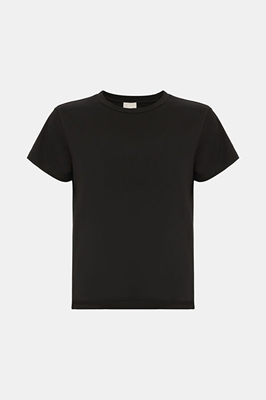 WCollection1