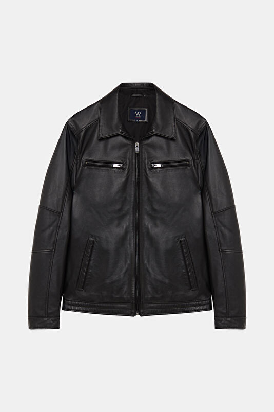 WCollection1 WCollection1