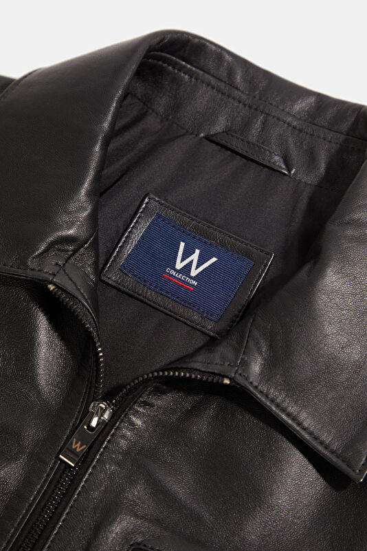 WCollection3 WCollection3