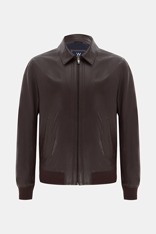 WCollection1 WCollection1