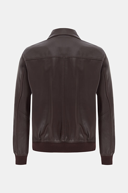 WCollection2 WCollection2