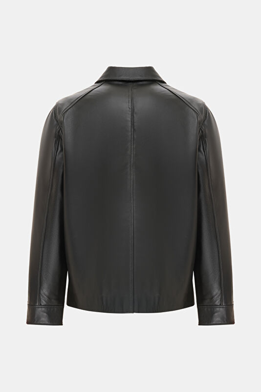 WCollection2 WCollection2