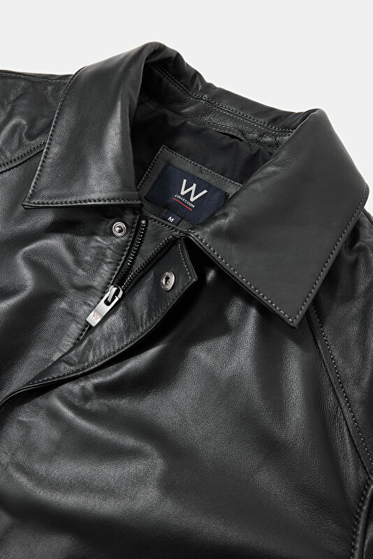 WCollection3 WCollection3