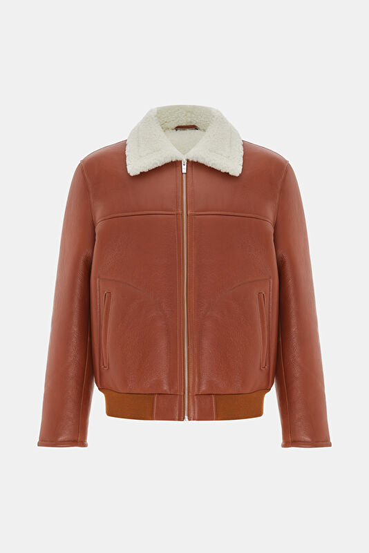 WCollection1 WCollection1