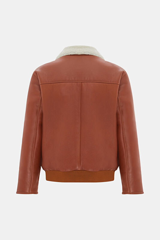 WCollection2 WCollection2