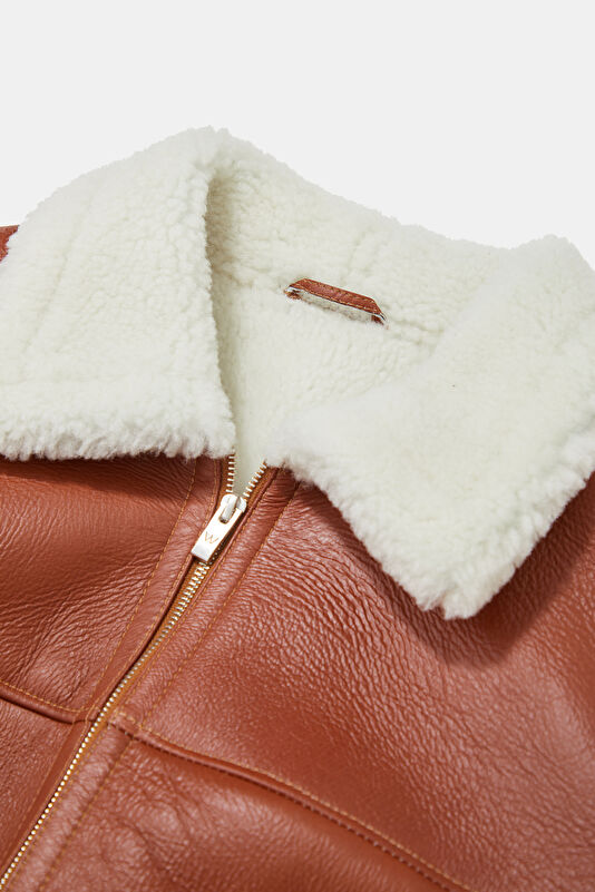 WCollection3 WCollection3