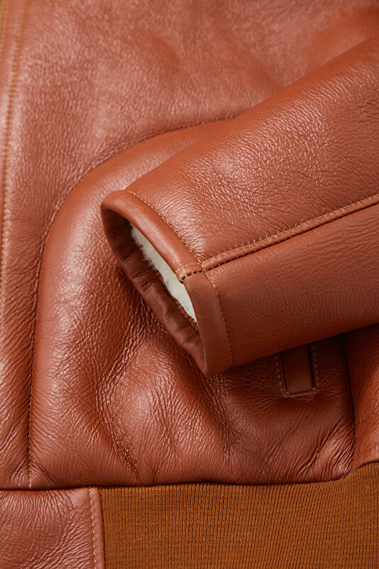 WCollection4 WCollection4