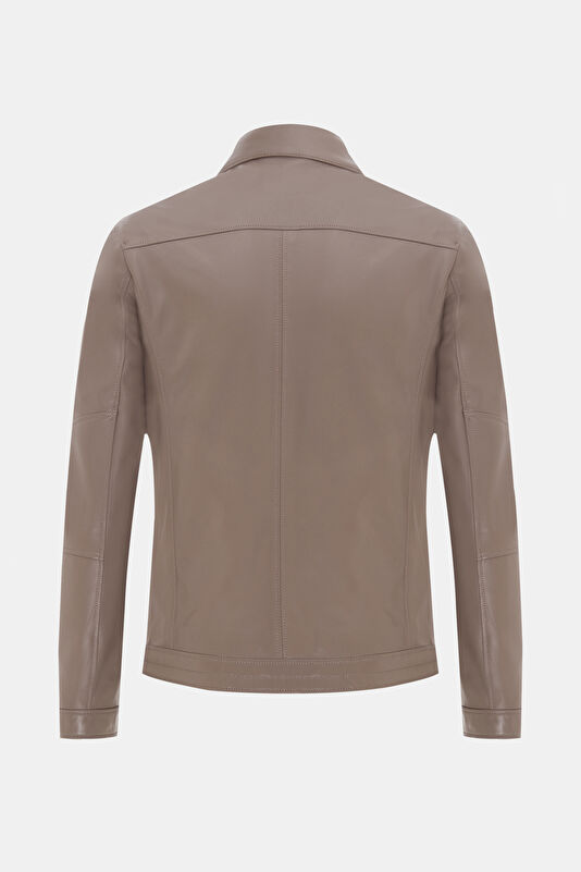 WCollection2 WCollection2