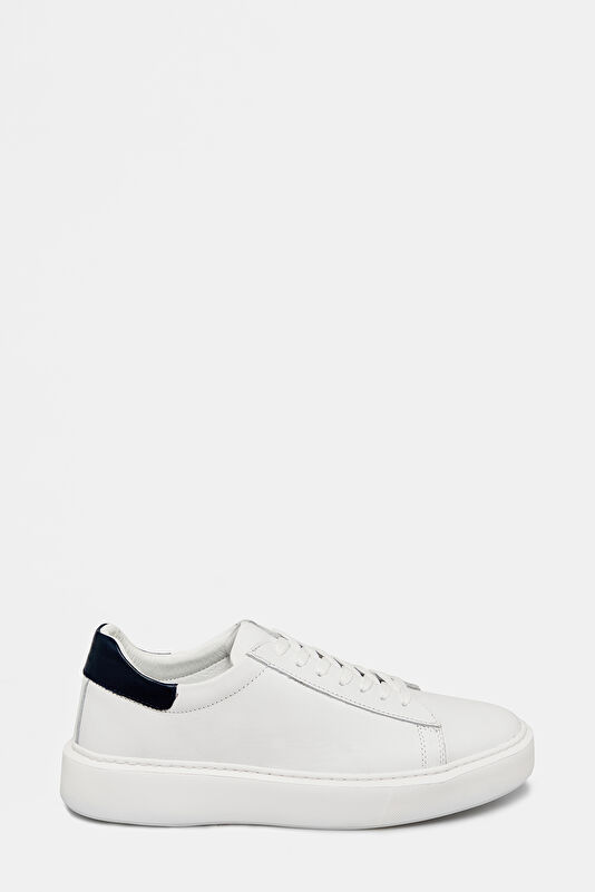 WCollection1 WCollection1