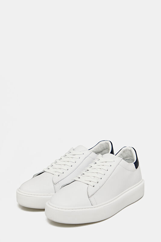 WCollection2 WCollection2