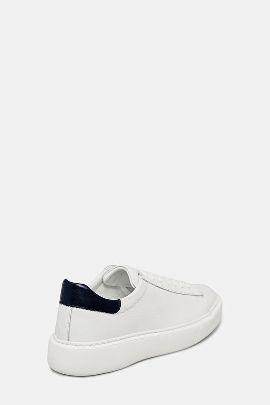 WCollection3