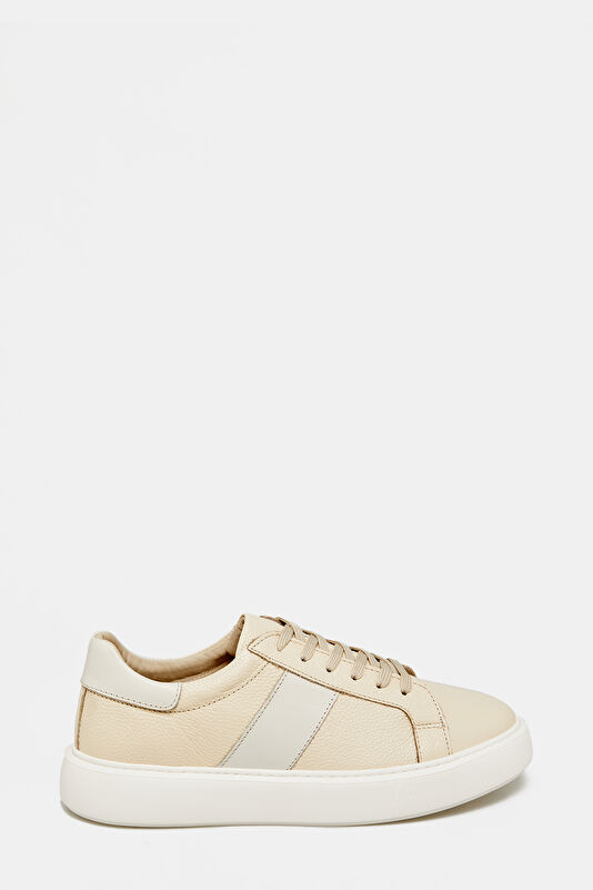 WCollection1 WCollection1