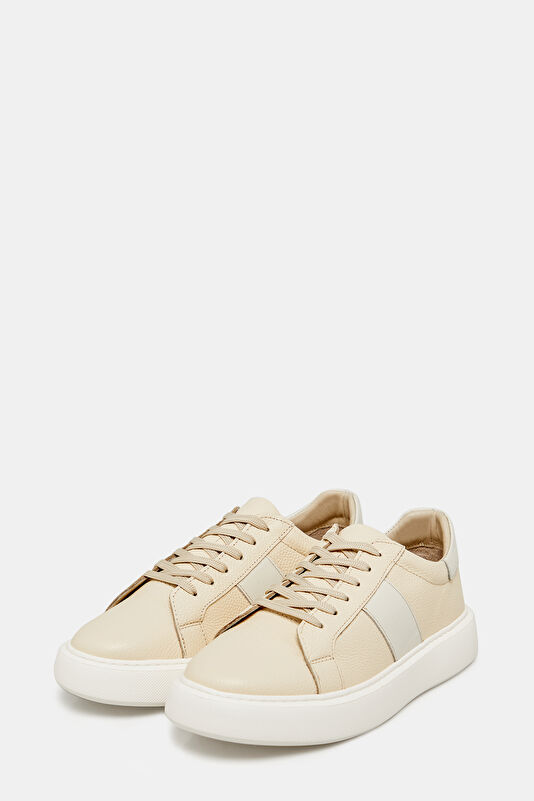 WCollection2 WCollection2